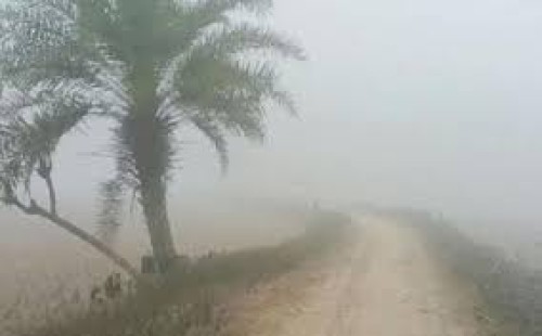 তাপমাত্রা ও শৈত্যপ্রবাহ নিয়ে আবহাওয়া অফিসের  নতুন বার্তা 