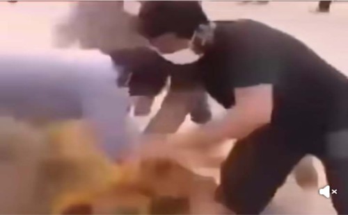 পটুয়াখালীতে কলেজছাত্রীকে প্রকাশ্যে নির্যাতন, অভিযুক্ত বিএনপি নেতার ছেলে 