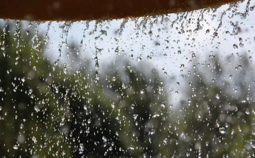 বৃষ্টি থাকতে পারে আজ সারাদিন 